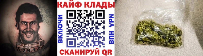 Все наркотики Приморск МАРИХУАНА NBOMe АМФЕТАМИН ГАШИШ МЕФ Псилоцибиновые грибы