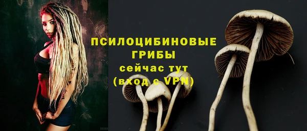 МДПВ Аркадак