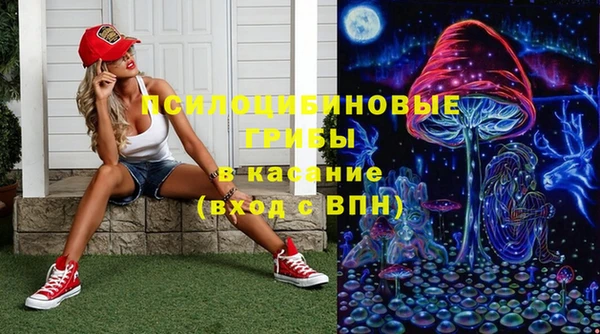 прущая мука Армянск