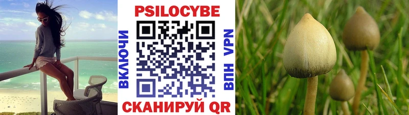 Псилоцибиновые грибы GOLDEN TEACHER  Приморск 